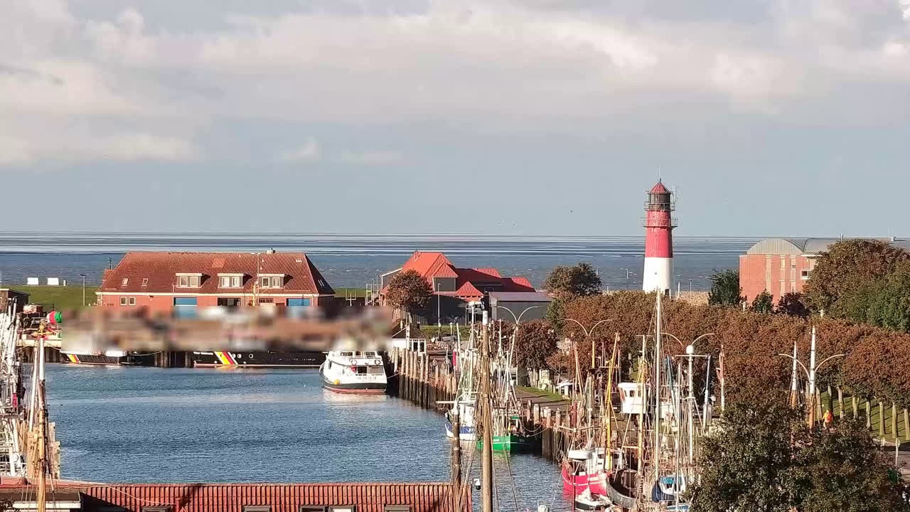 Archiv Foto Webcam Büsum: Museumshafen