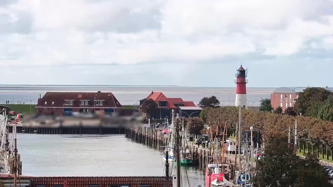 Archiv Foto Webcam Büsum: Museumshafen