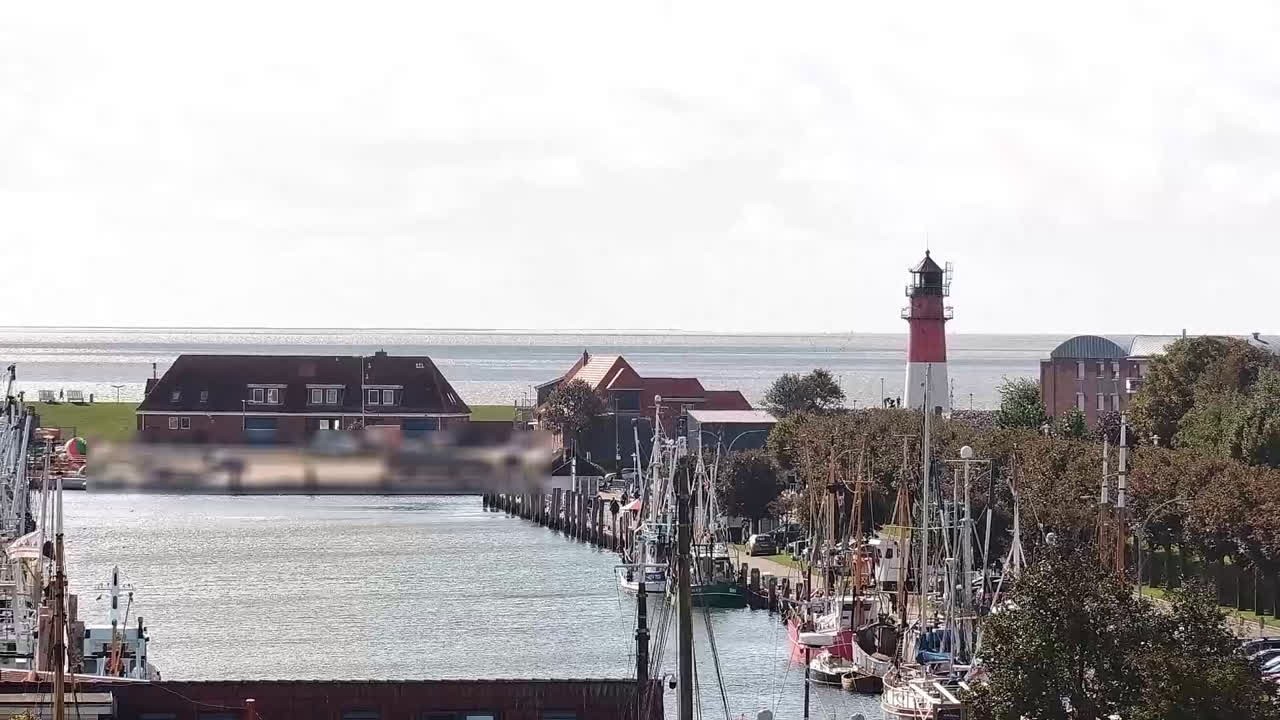 Archiv Foto Webcam Büsum: Museumshafen