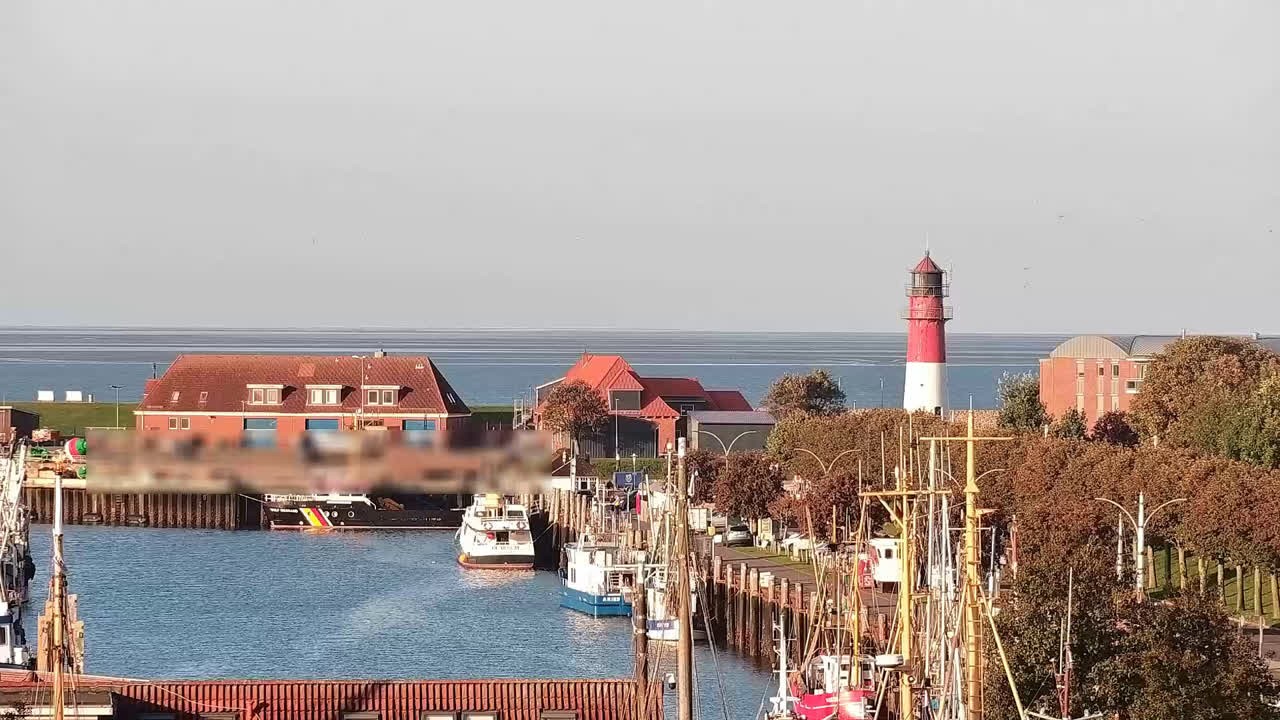 Archiv Foto Webcam Büsum: Museumshafen