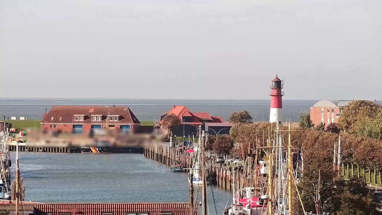 Archiv Foto Webcam Büsum: Museumshafen