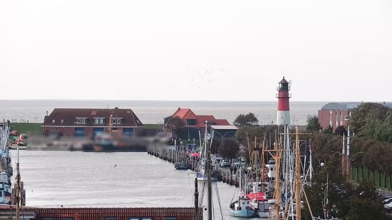 Archiv Foto Webcam Büsum: Museumshafen