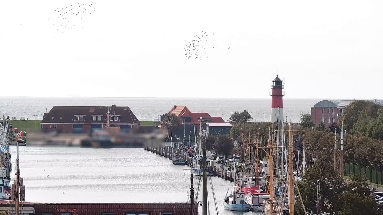 Archiv Foto Webcam Büsum: Museumshafen