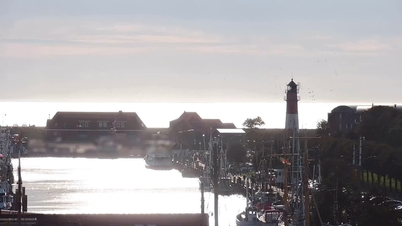 Archiv Foto Webcam Büsum: Museumshafen