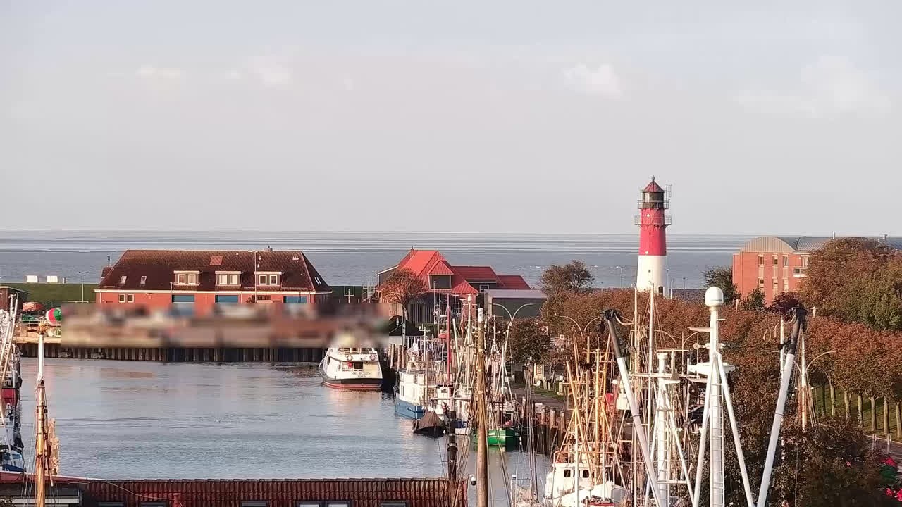 Archiv Foto Webcam Büsum: Museumshafen