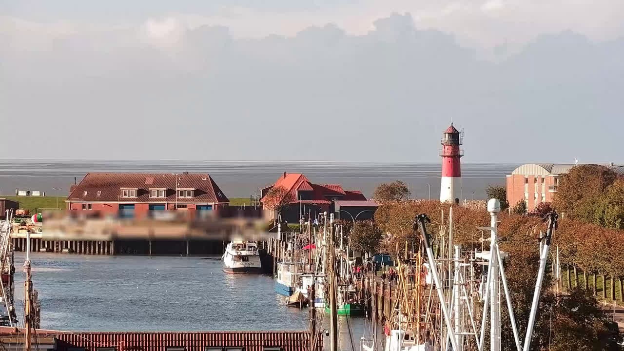 Archiv Foto Webcam Büsum: Museumshafen