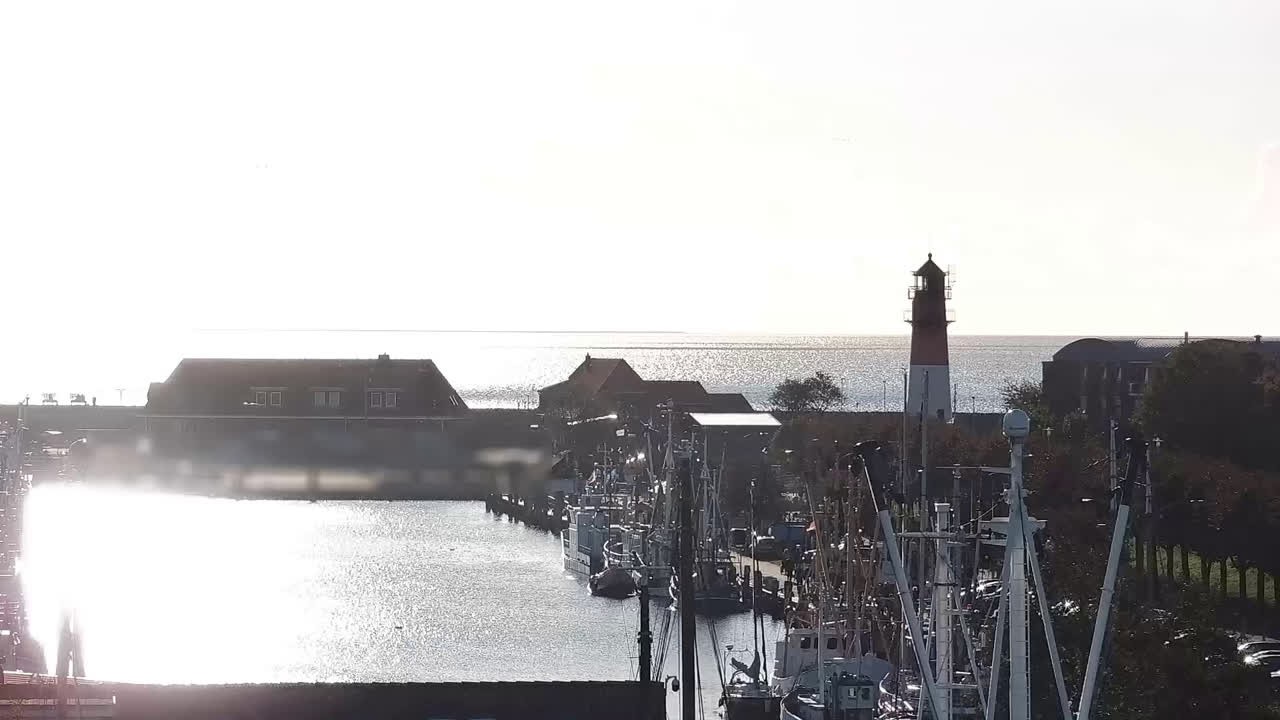 Archiv Foto Webcam Büsum: Museumshafen