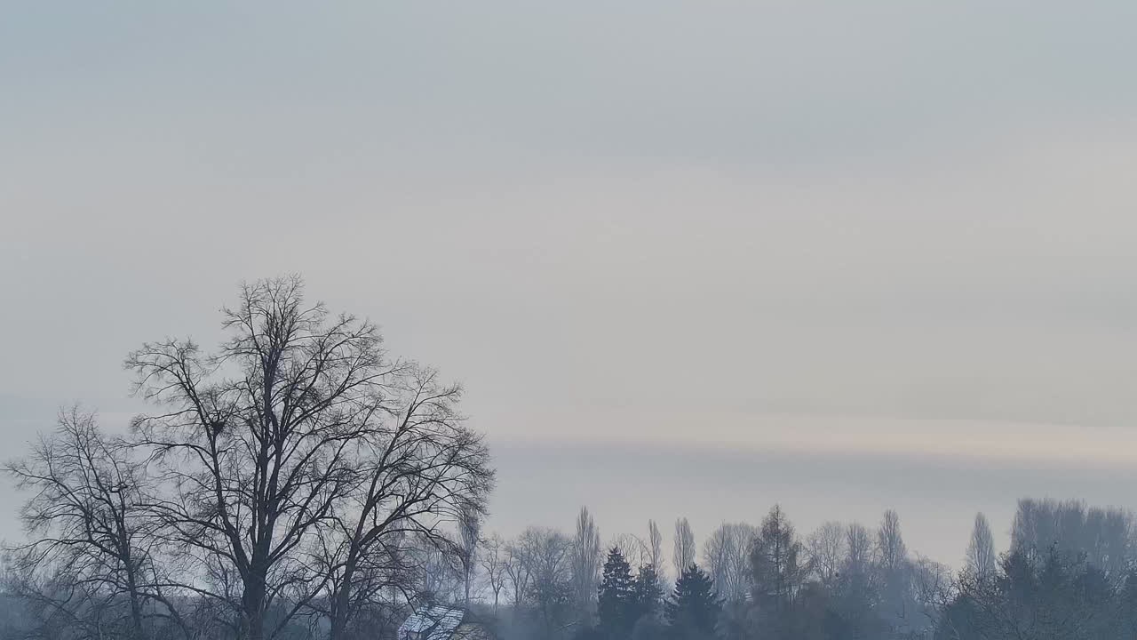 Archiv Foto Webcam Gaienhofen: Halbinsel Höri