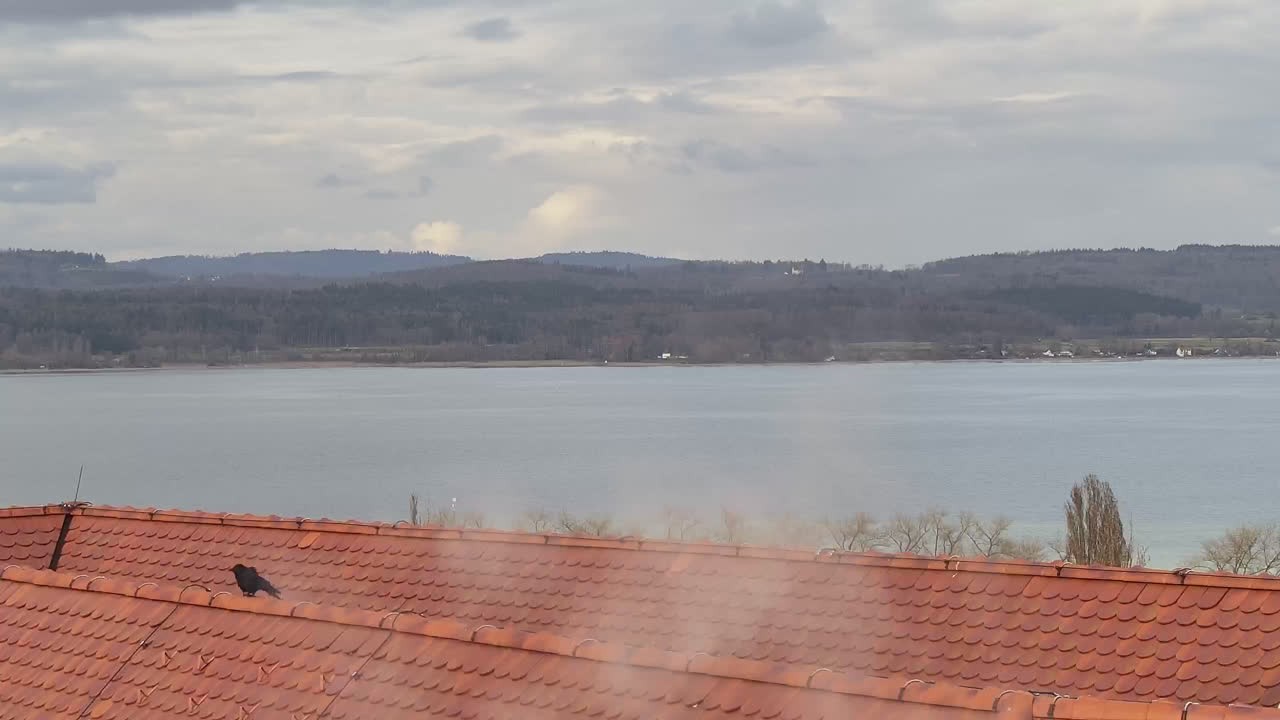 Archiv Foto Webcam Gaienhofen: Halbinsel Höri