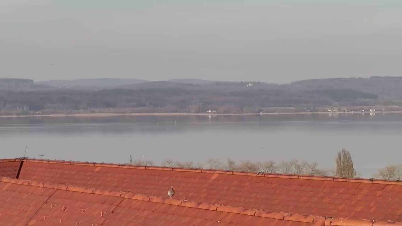 Archiv Foto Webcam Gaienhofen: Halbinsel Höri