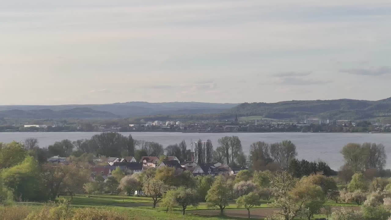 Archiv Foto Webcam Gaienhofen: Halbinsel Höri