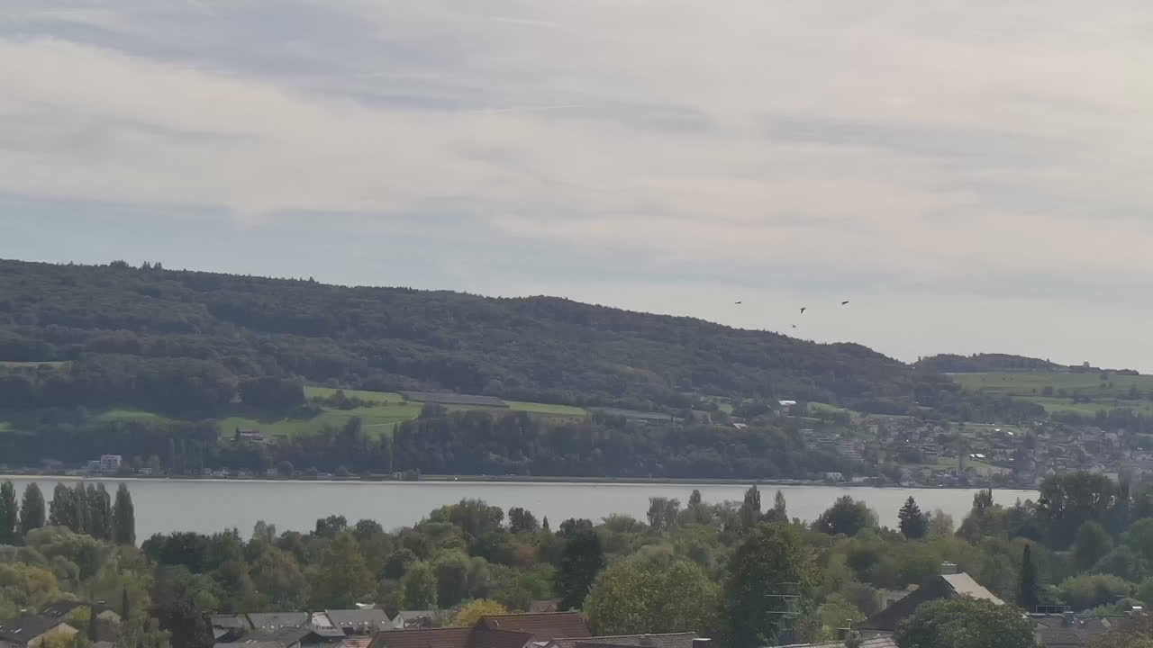 Archiv Foto Webcam Gaienhofen: Halbinsel Höri