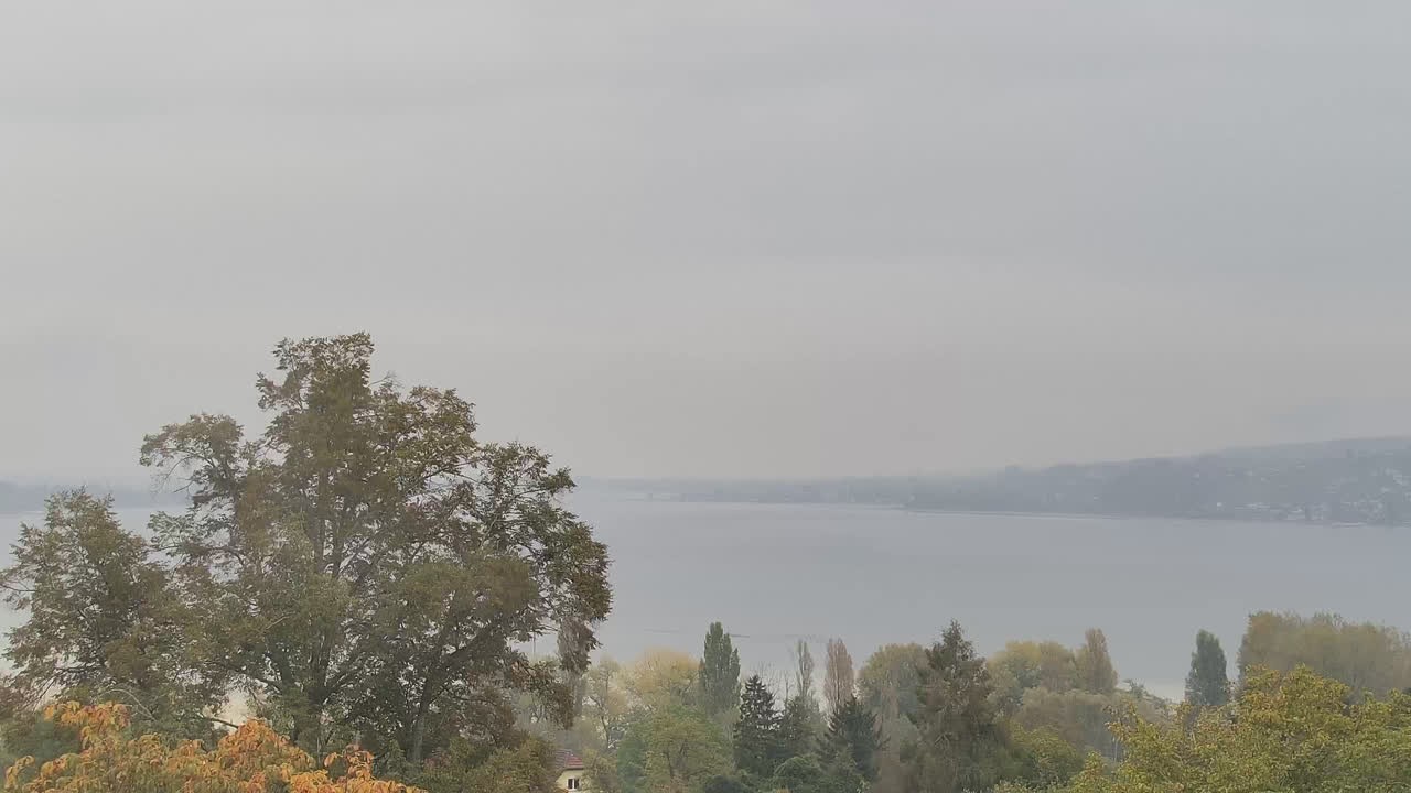 Archiv Foto Webcam Gaienhofen: Halbinsel Höri
