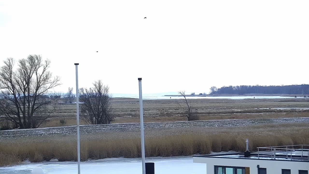 Archiv Foto Webcam Usedom: Yachthafen Kröslin