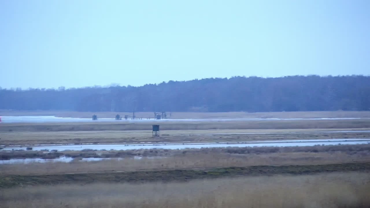 Archiv Foto Webcam Usedom: Yachthafen Kröslin