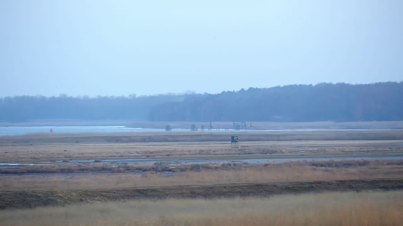 Archived image Webcam Kröslin: At the yacht harbour