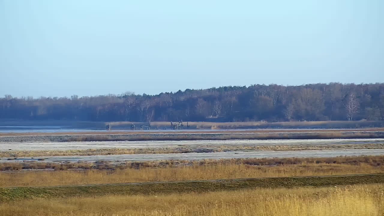 Archiv Foto Webcam Usedom: Yachthafen Kröslin