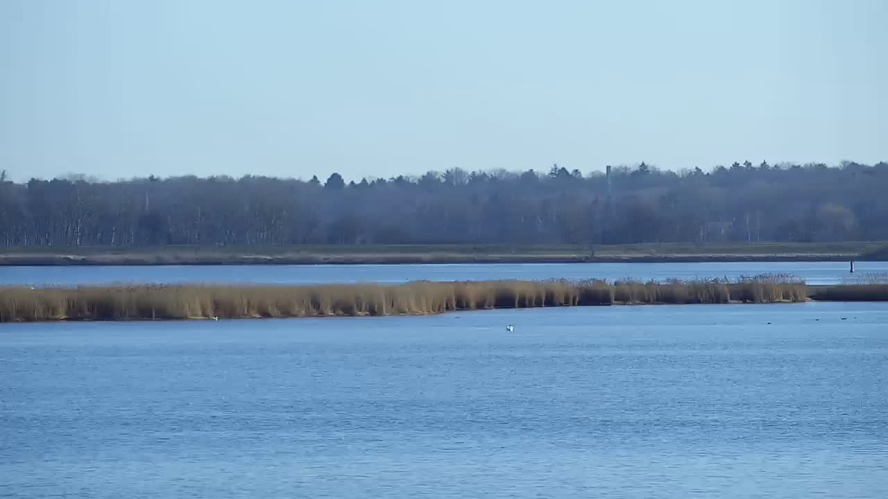 Archiv Foto Webcam Usedom: Yachthafen Kröslin