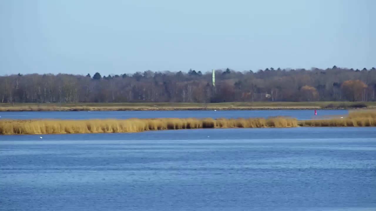 Archiv Foto Webcam Usedom: Yachthafen Kröslin