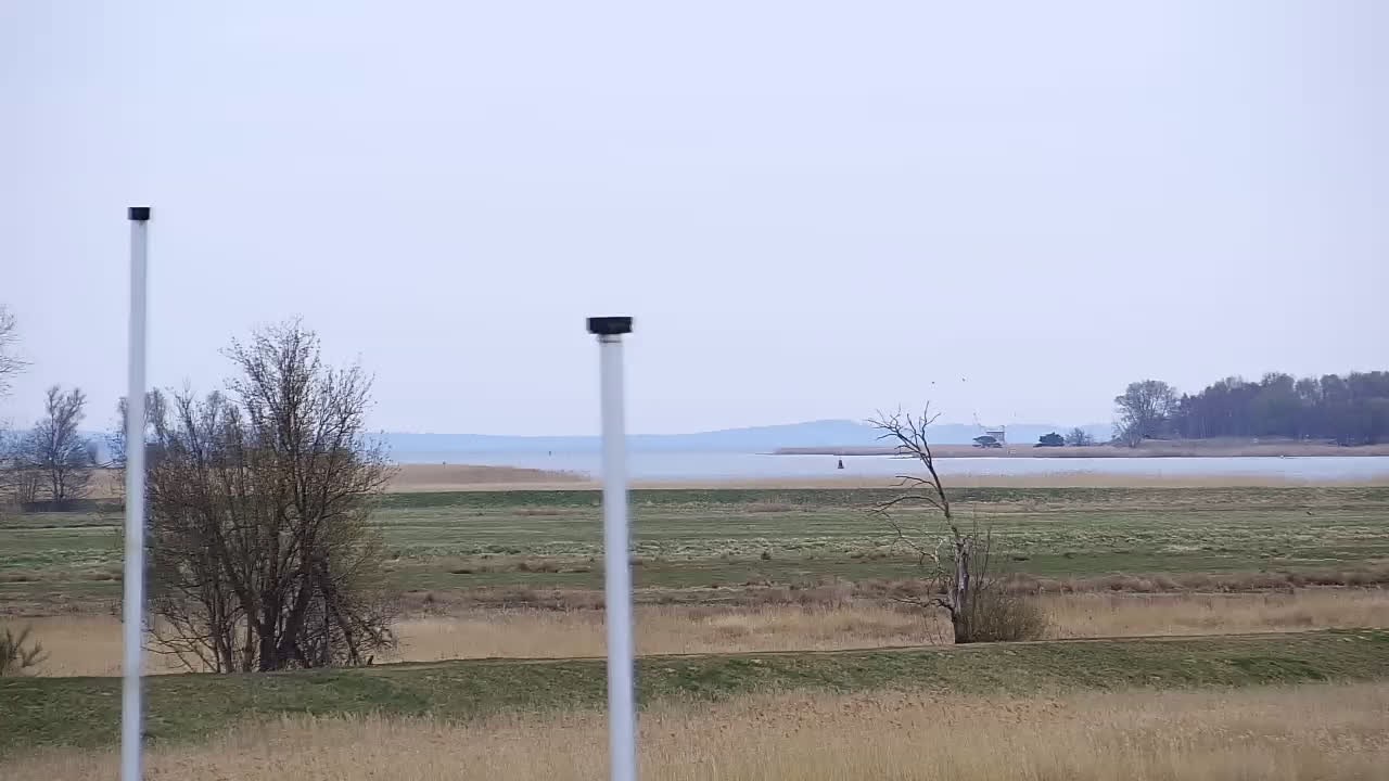 Archived image Webcam Kröslin: At the yacht harbour