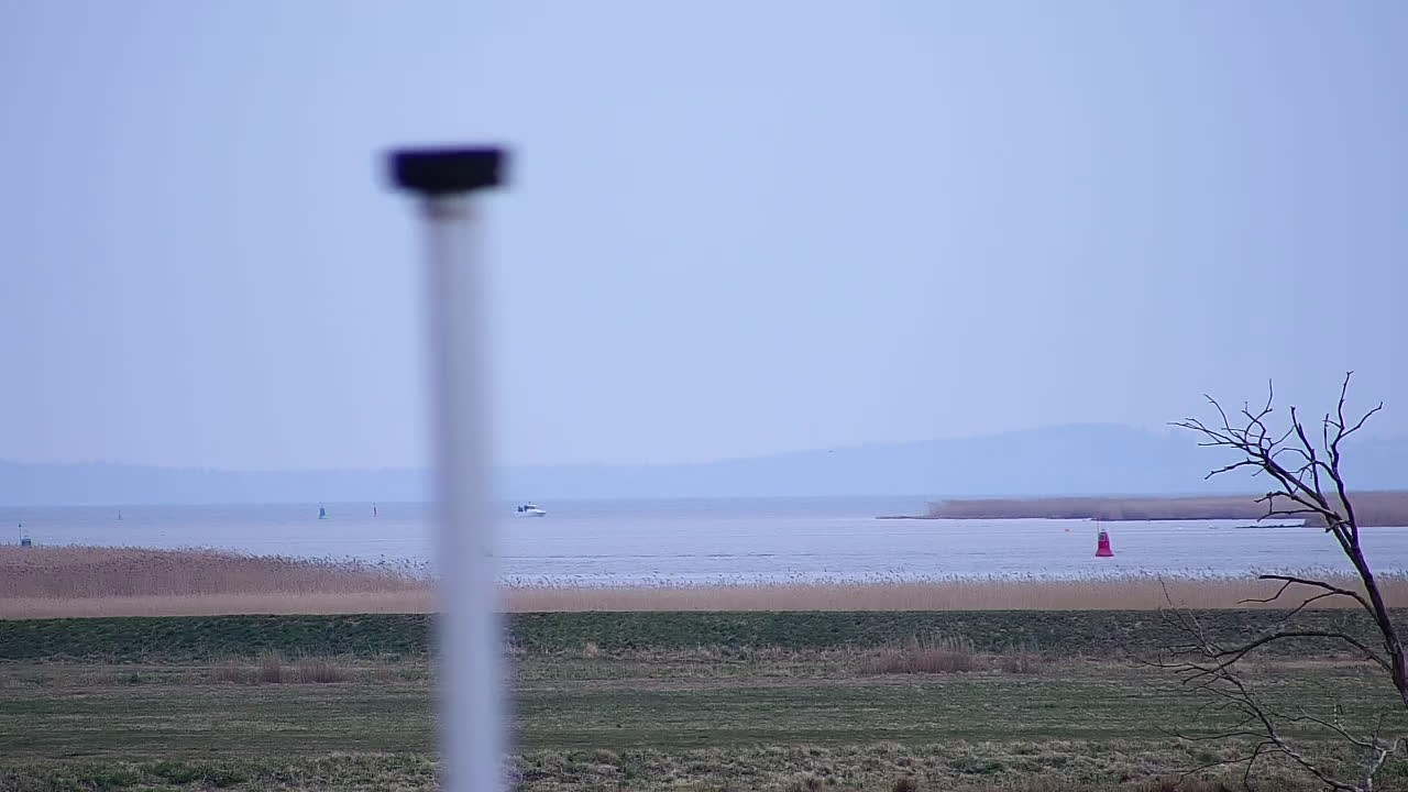 Archived image Webcam Kröslin: At the yacht harbour