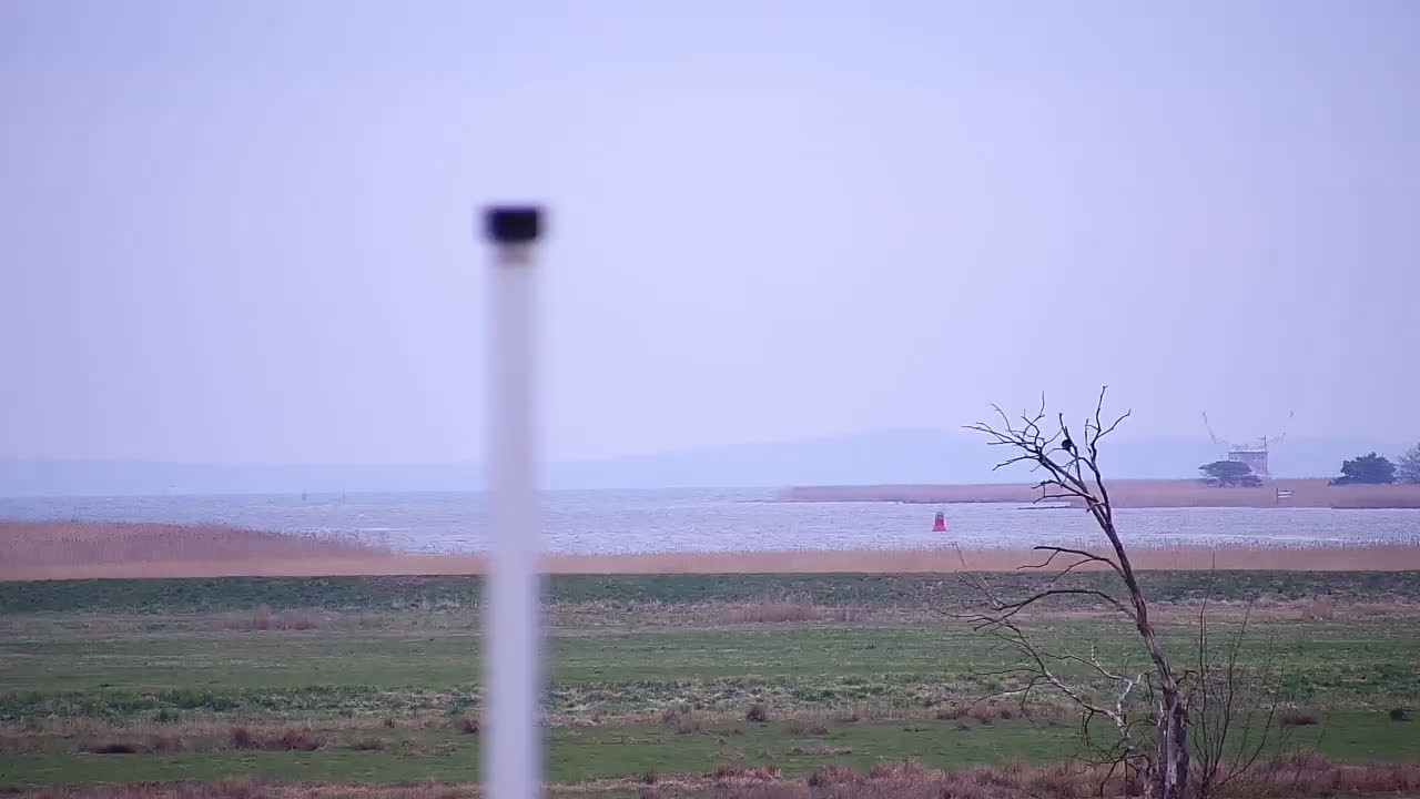 Archiv Foto Webcam Usedom: Yachthafen Kröslin