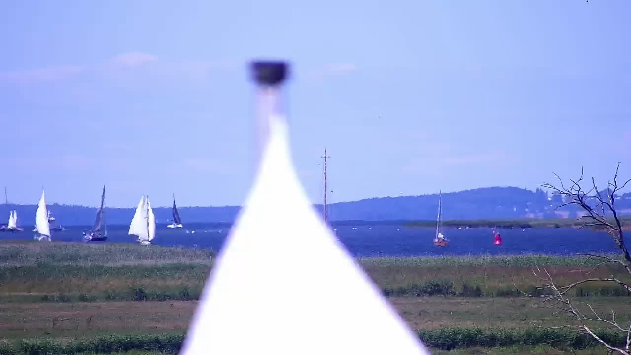 Archiv Foto Webcam Usedom: Yachthafen Kröslin