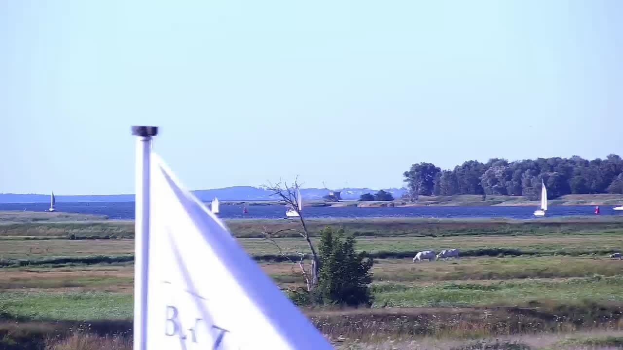 Archiv Foto Webcam Usedom: Yachthafen Kröslin