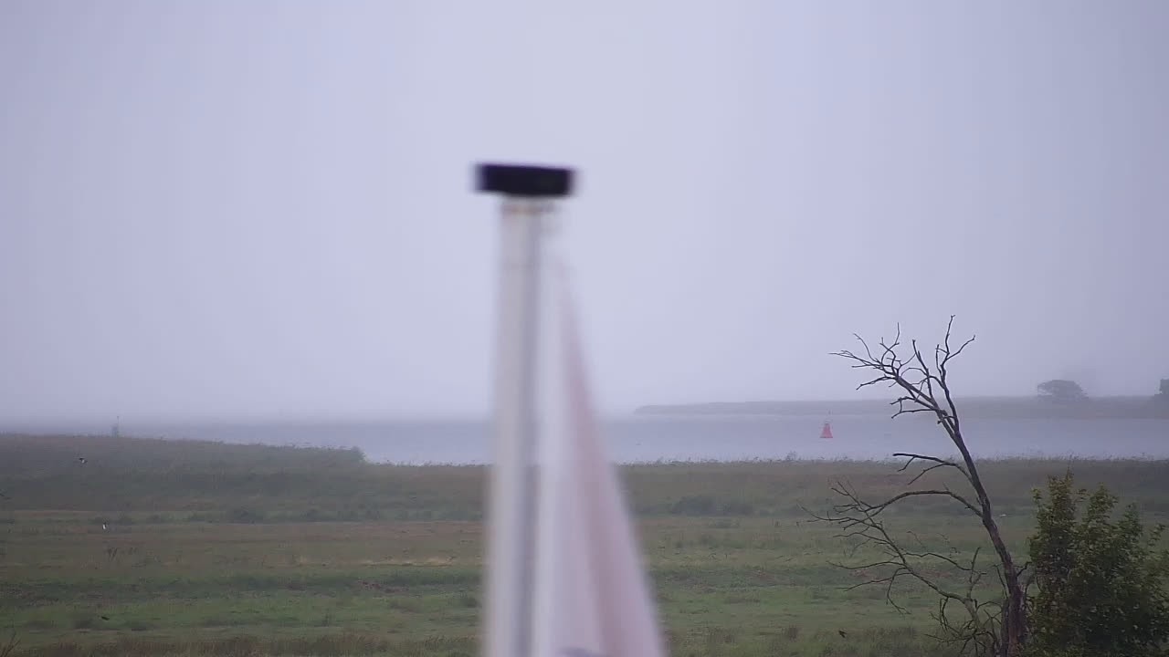 Archiv Foto Webcam Usedom: Yachthafen Kröslin