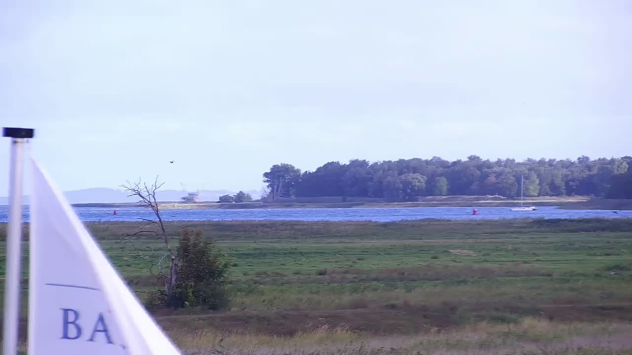 Archiv Foto Webcam Usedom: Yachthafen Kröslin