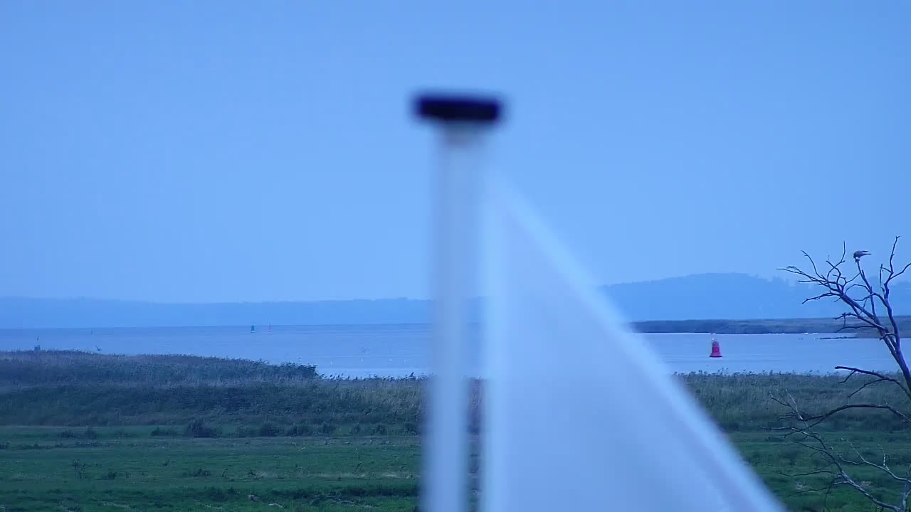 Archiv Foto Webcam Usedom: Yachthafen Kröslin
