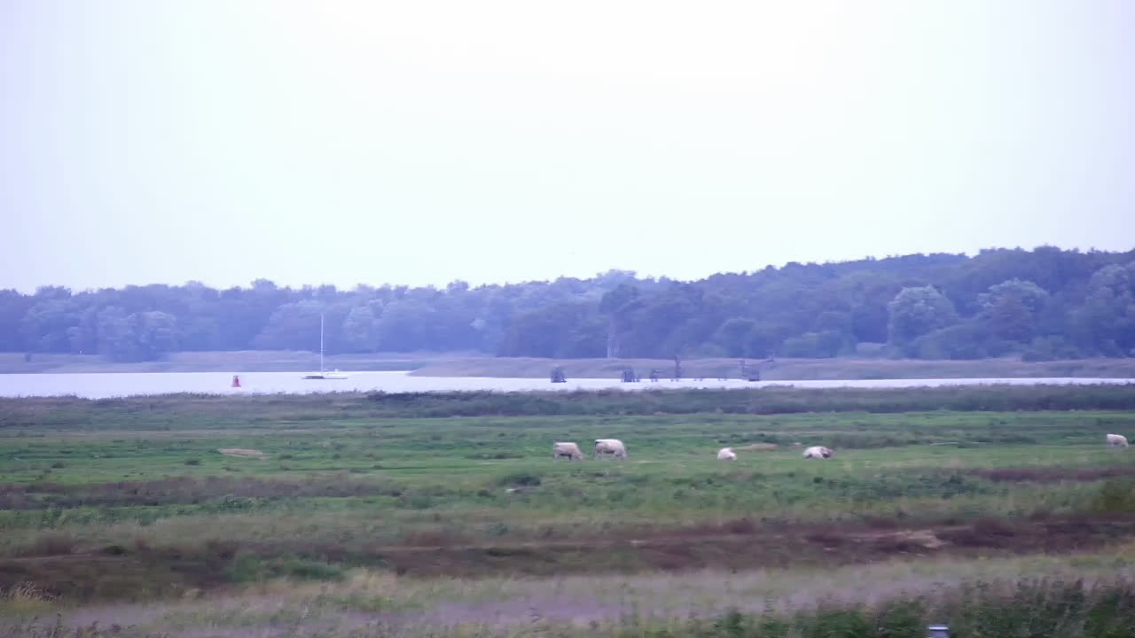 Archiv Foto Webcam Usedom: Yachthafen Kröslin