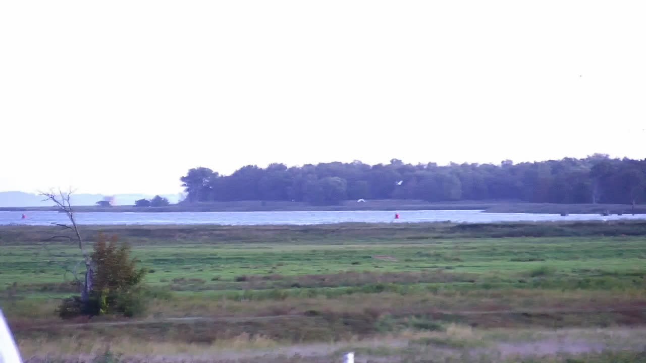 Archiv Foto Webcam Usedom: Yachthafen Kröslin