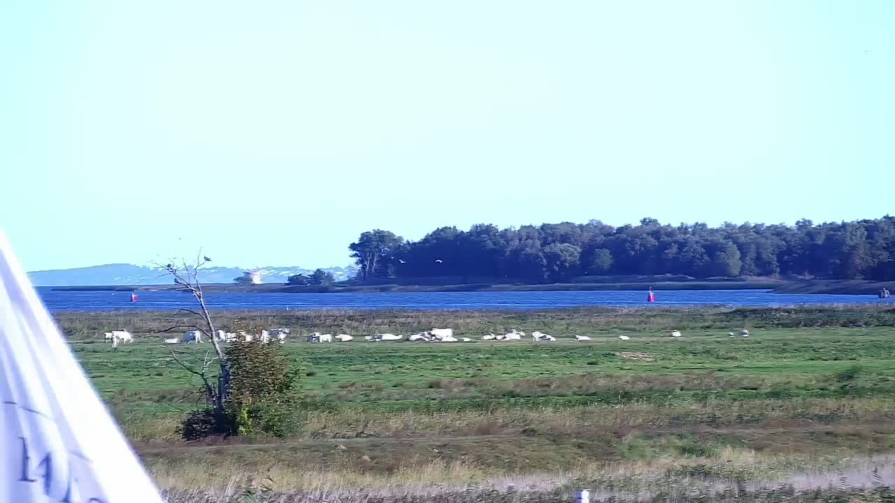 Archiv Foto Webcam Usedom: Yachthafen Kröslin