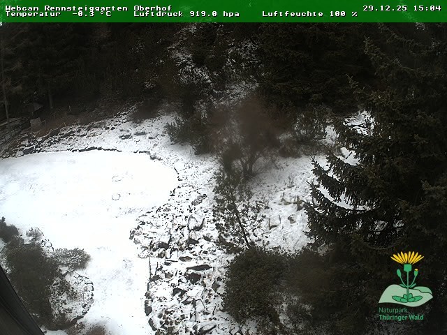 Archiv Foto Webcam Oberhof - Blick in den Rennsteiggarten