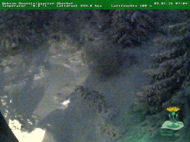 Archiv Foto Webcam Oberhof - Blick in den Rennsteiggarten