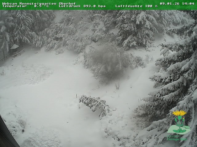 Archiv Foto Webcam Oberhof - Blick in den Rennsteiggarten