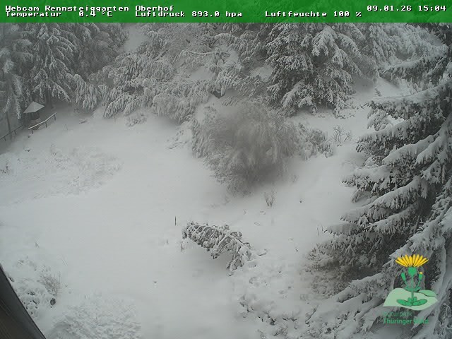 Archiv Foto Webcam Oberhof - Blick in den Rennsteiggarten