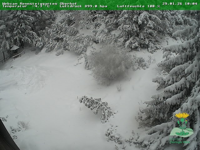 Archived image Webcam Oberhof - Botanical Garden