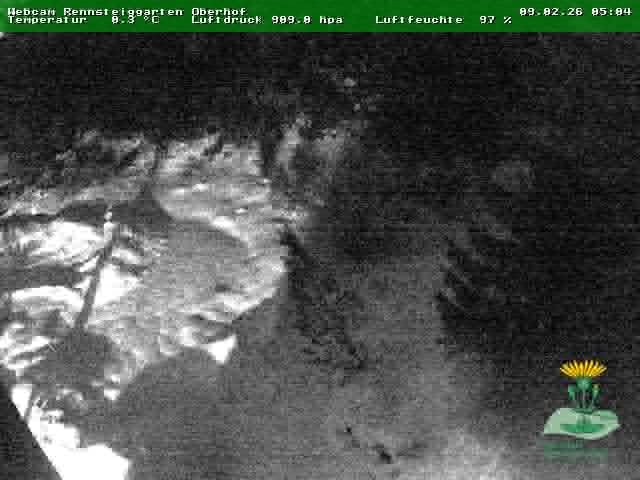 Archiv Foto Webcam Oberhof - Blick in den Rennsteiggarten