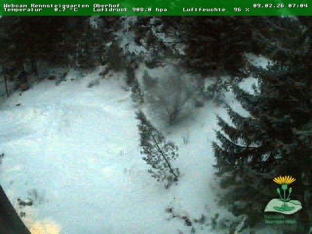 Archiv Foto Webcam Oberhof - Blick in den Rennsteiggarten