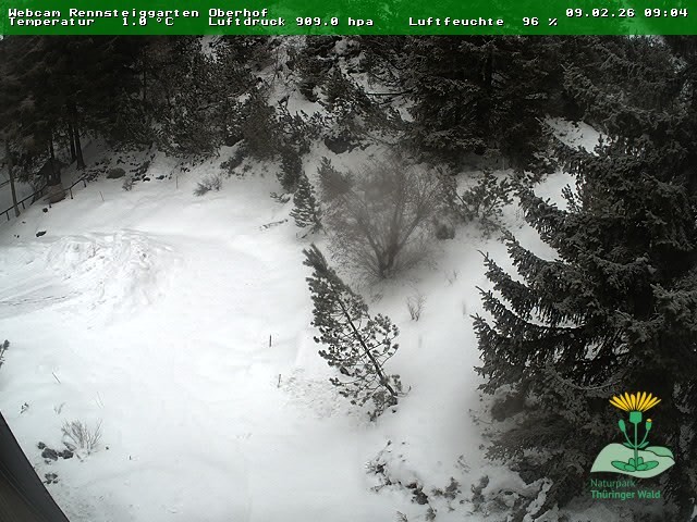 Archiv Foto Webcam Oberhof - Blick in den Rennsteiggarten