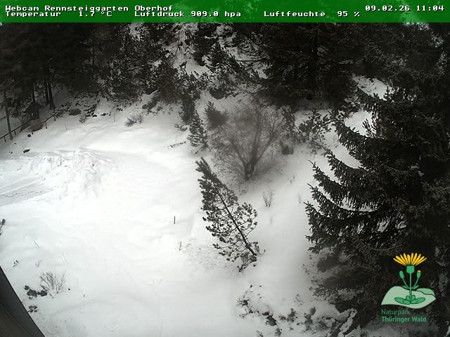 Archiv Foto Webcam Oberhof - Blick in den Rennsteiggarten