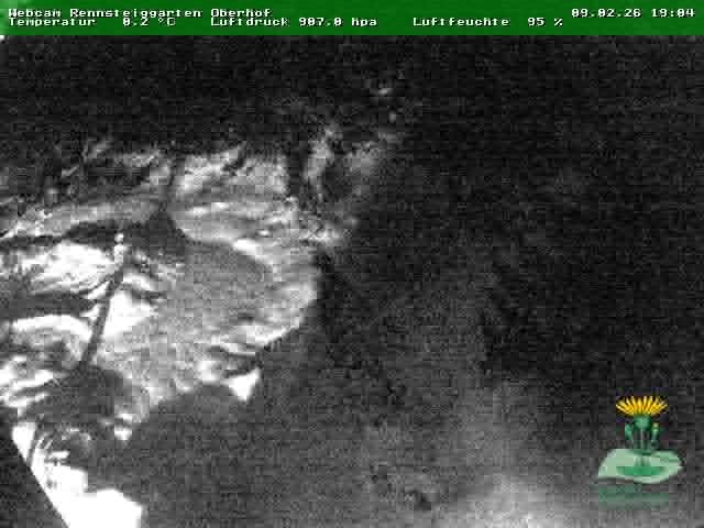 Archiv Foto Webcam Oberhof - Blick in den Rennsteiggarten