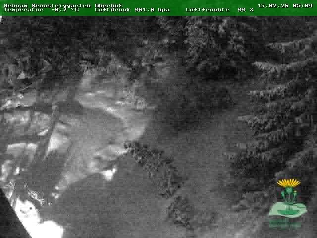 Archiv Foto Webcam Oberhof - Blick in den Rennsteiggarten