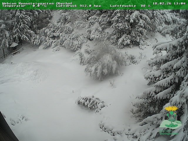 Archiv Foto Webcam Oberhof - Blick in den Rennsteiggarten