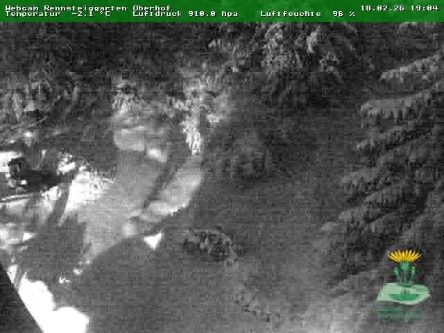 Archiv Foto Webcam Oberhof - Blick in den Rennsteiggarten