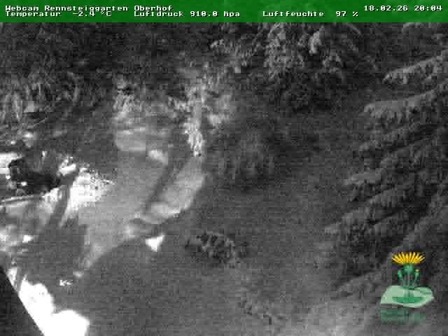 Archiv Foto Webcam Oberhof - Blick in den Rennsteiggarten