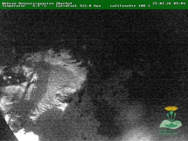 Archiv Foto Webcam Oberhof - Blick in den Rennsteiggarten