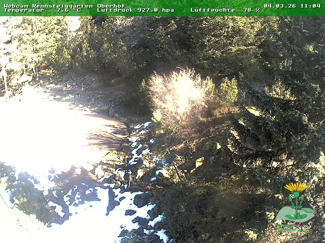 Archiv Foto Webcam Oberhof - Blick in den Rennsteiggarten